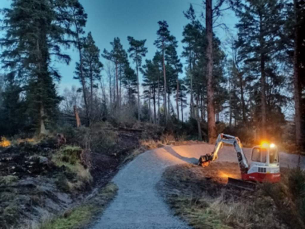 Kinnoull Hill Trail at Night 43 Ratio