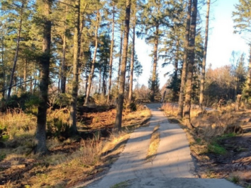 Kinnoull Hill Trail 43 Ratio